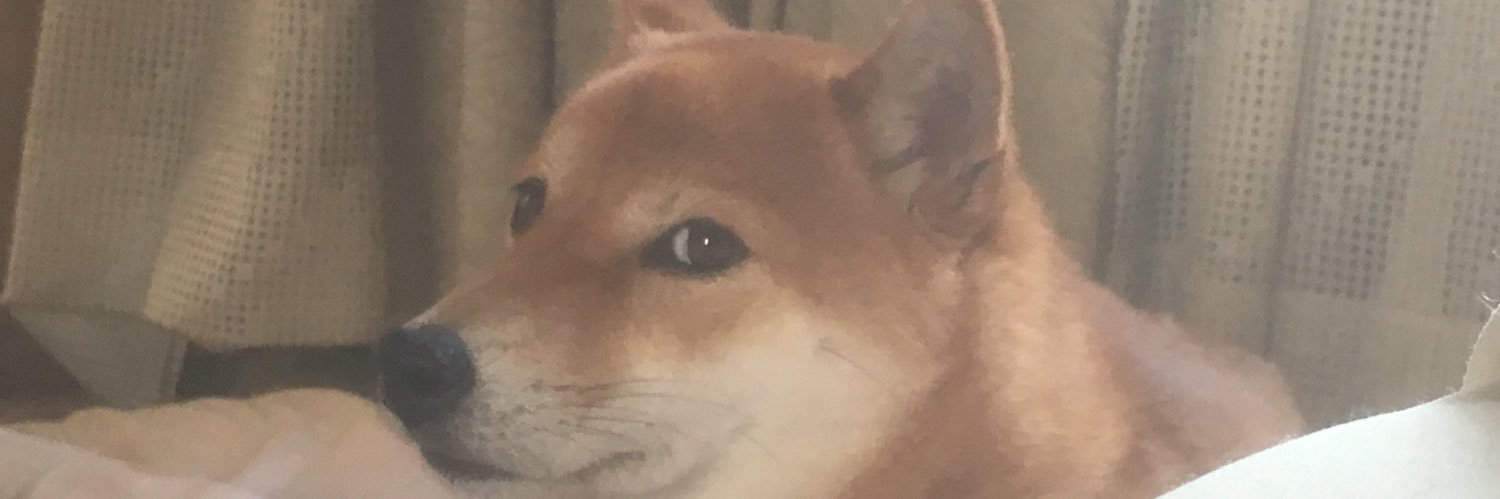 QhghjE's profile banner image
