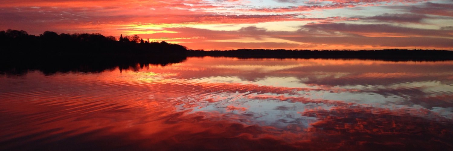 Carolyn Kaster banner