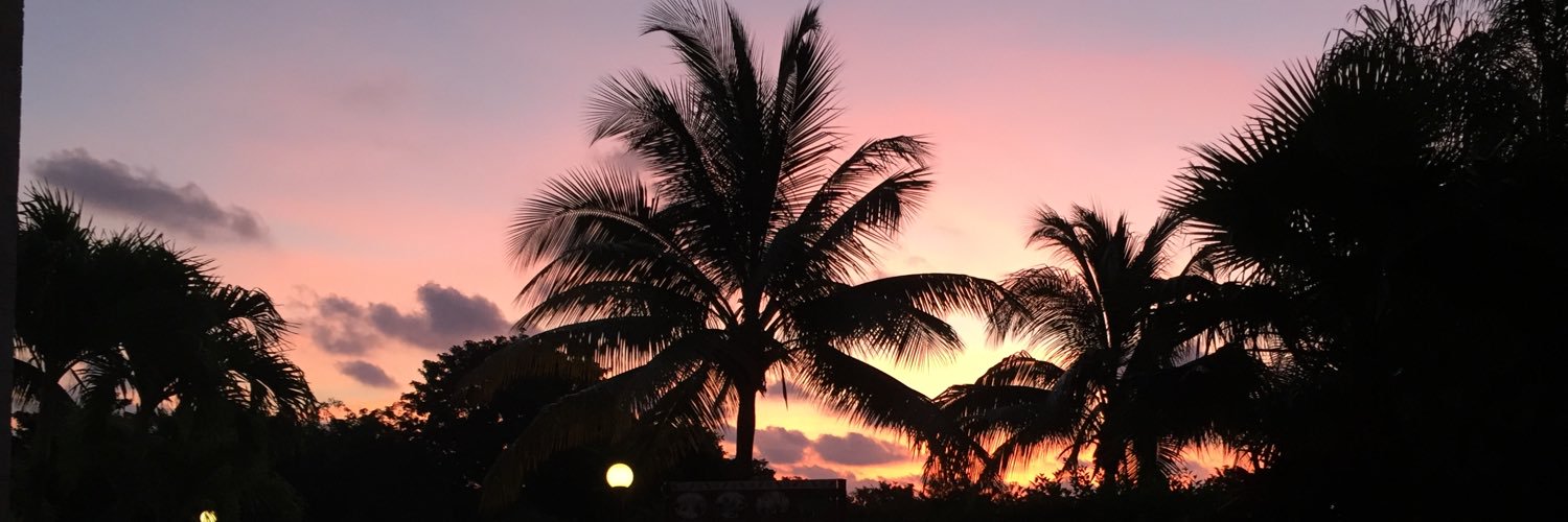 juliaguuliaa's profile banner image