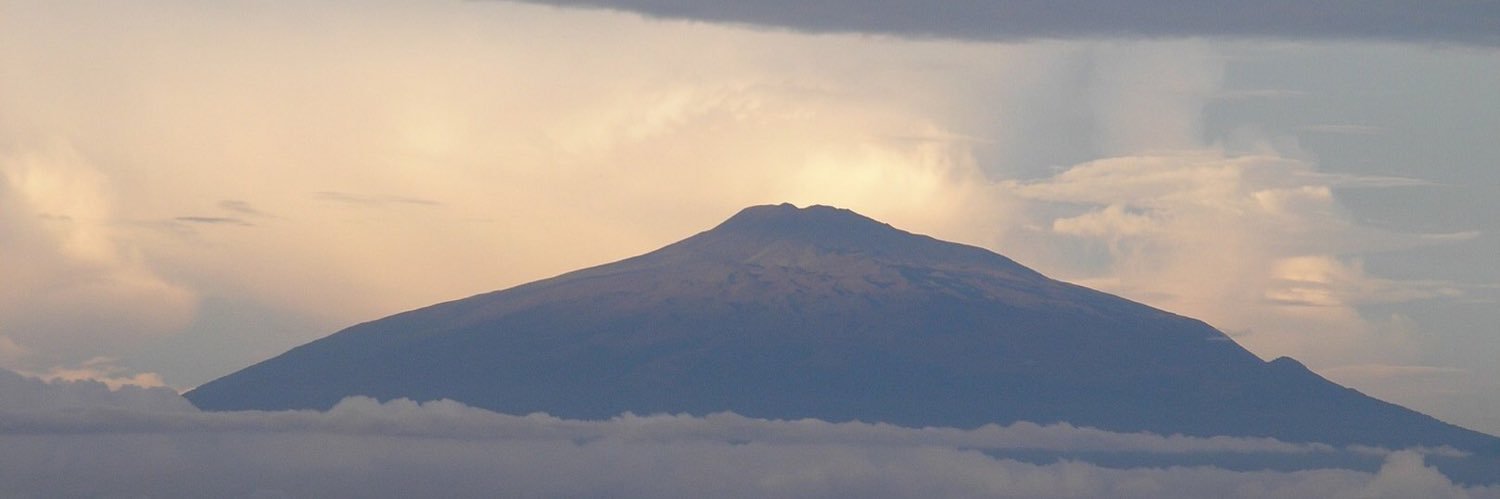 essoungou's profile banner image