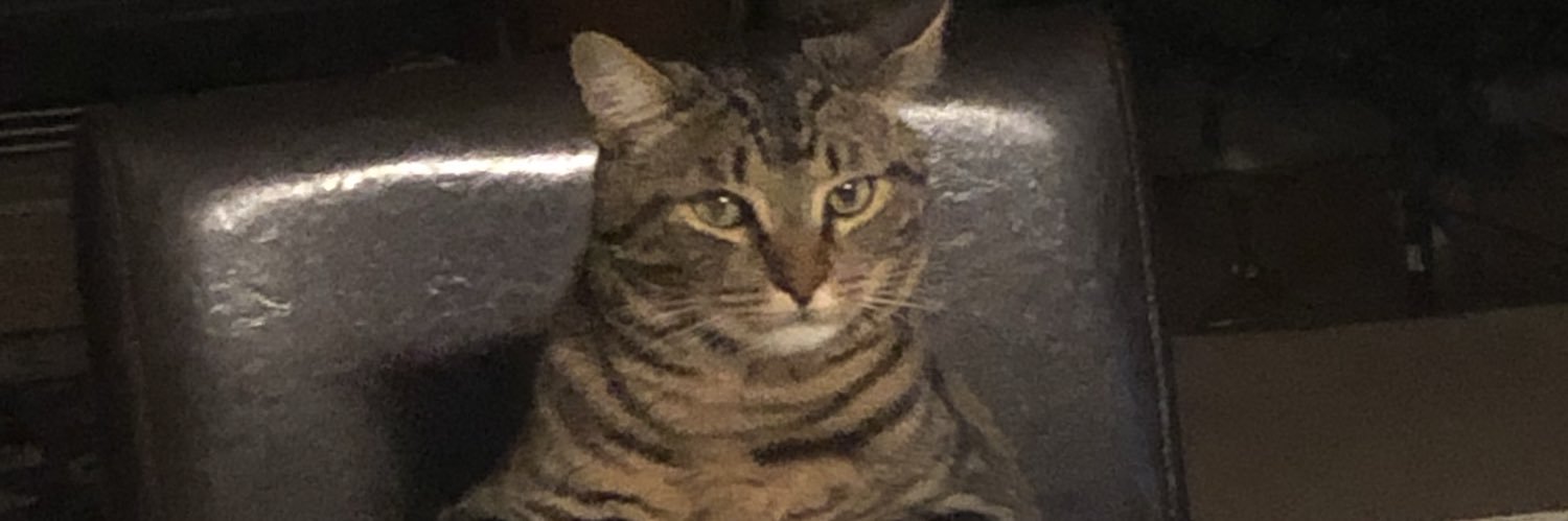 kiefqween's profile banner image