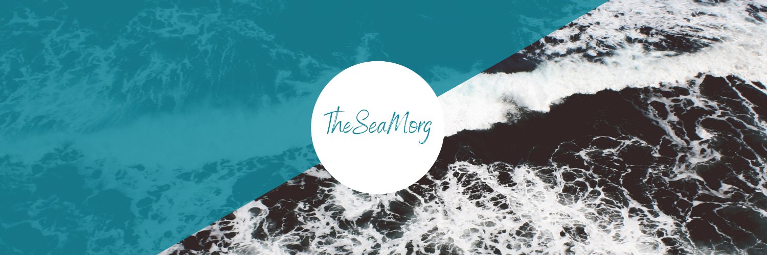TheSeaMorg's profile banner image
