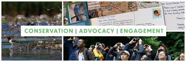 nycbirdalliance Profile Banner