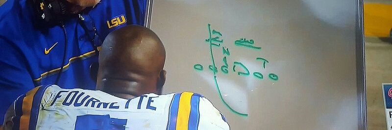 Self-hating LSU fan banner