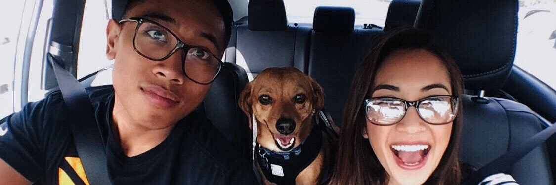 treezyBZ's profile banner image