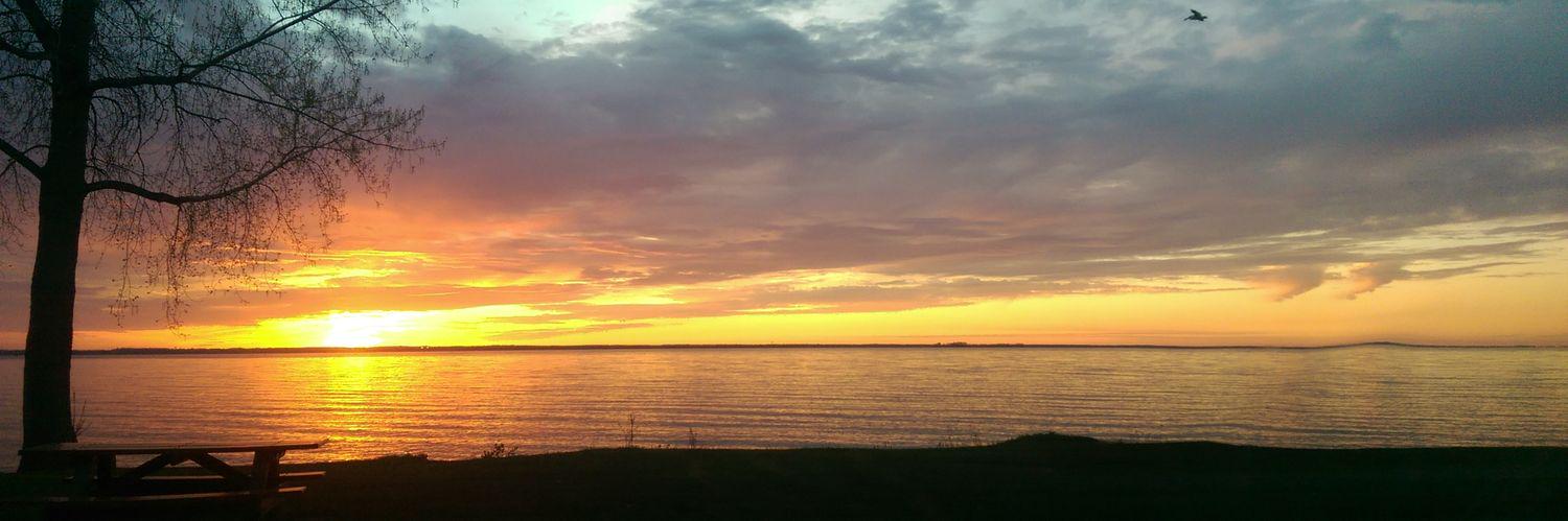 AnnaGarlick's profile banner image