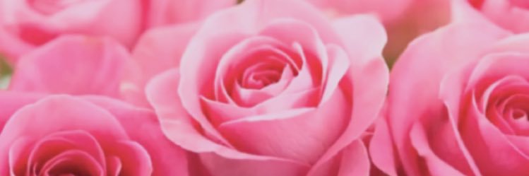 anna_sssky's profile banner image