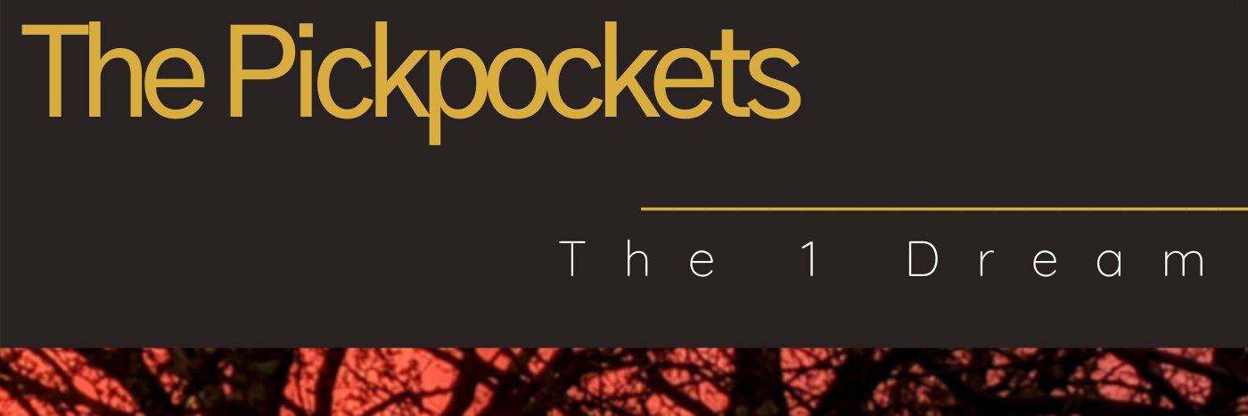 thepickpockets's profile banner image