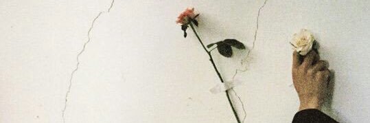 นัม. banner