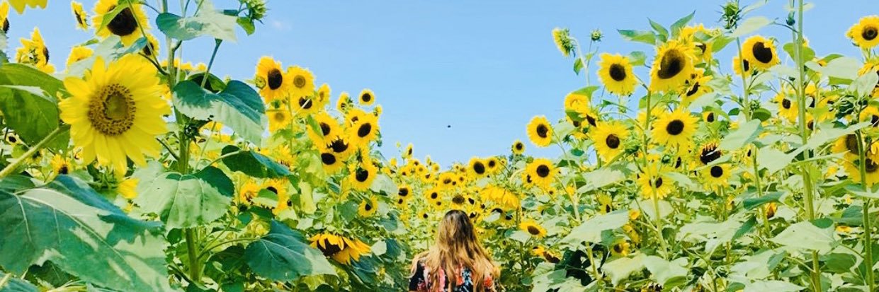 jess_yeoh's profile banner image