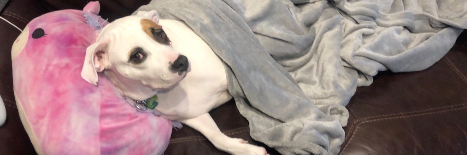 Taylor Bagent banner