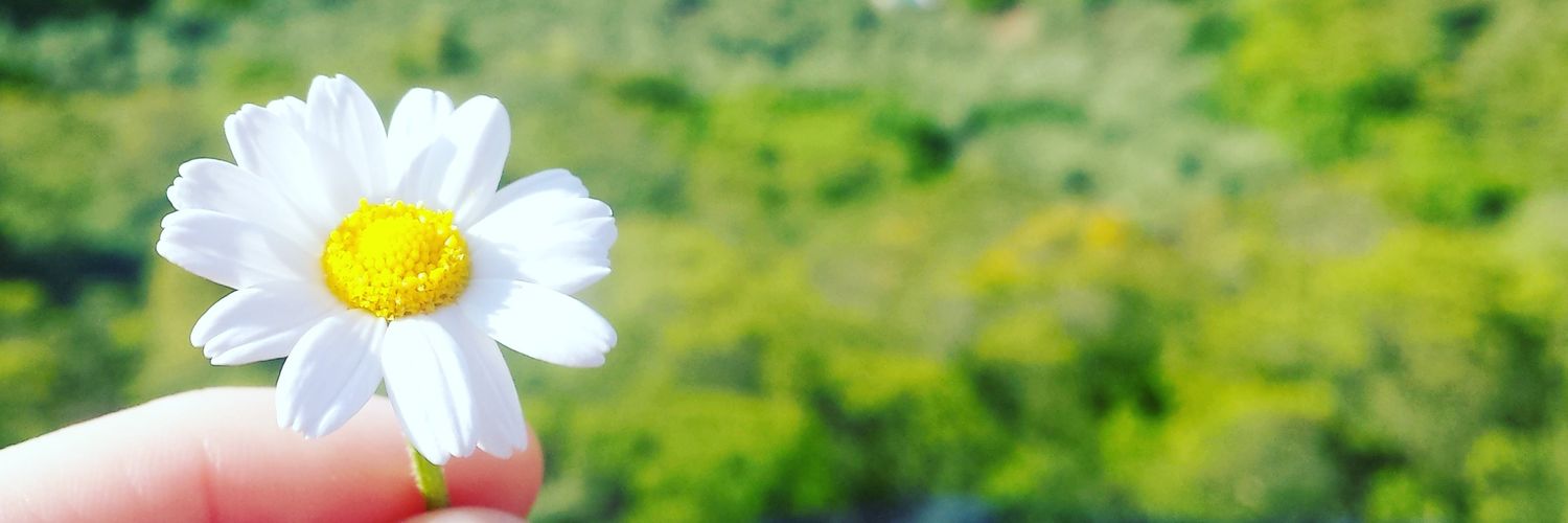 YeniaMM's profile banner image