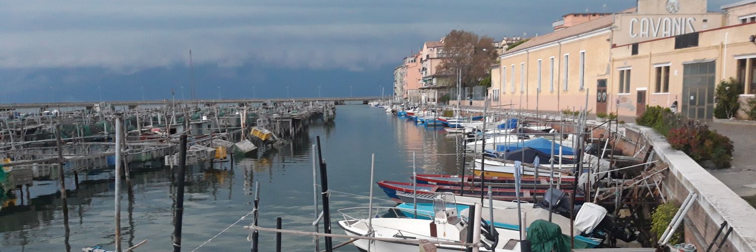 Alberto Vega P banner