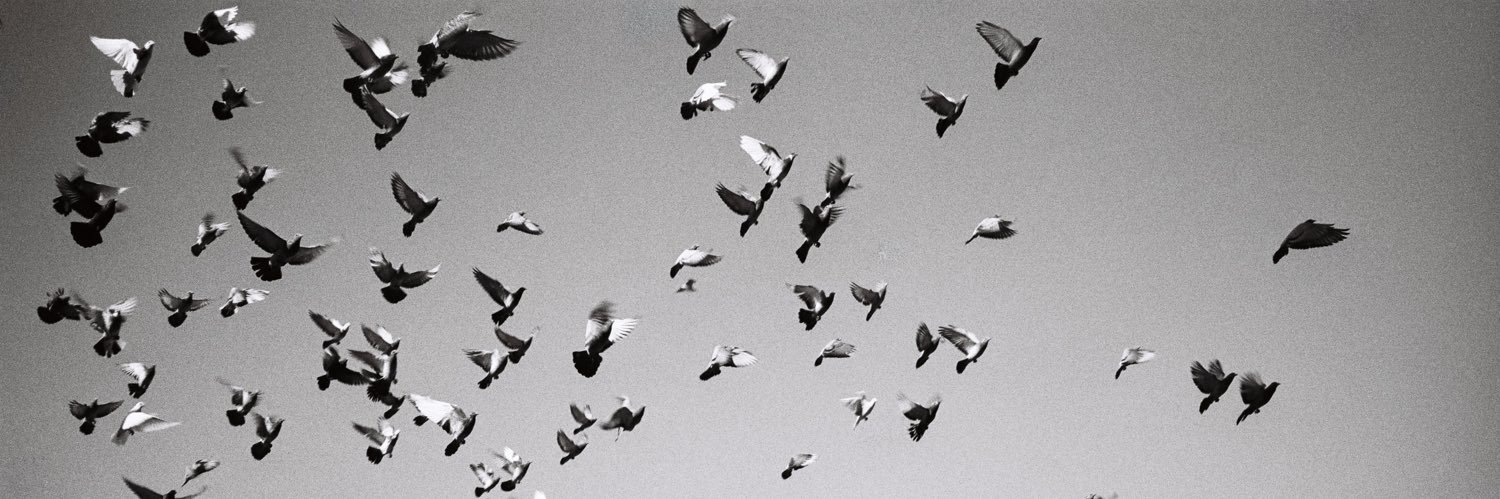 tmbrth's profile banner image