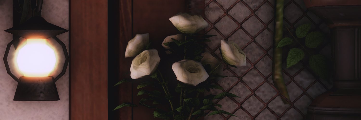 plee_pia's profile banner image