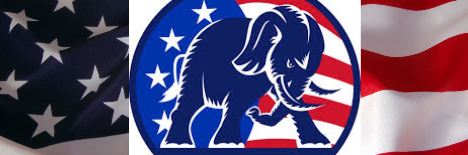 WarrickCoGOP's profile banner image