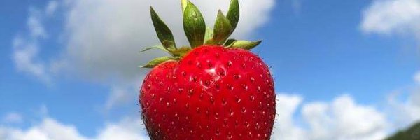 spilman_farming Profile Banner