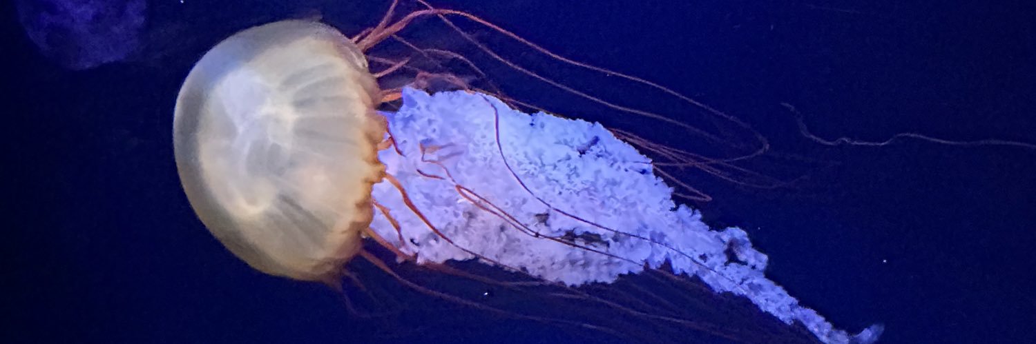Sam's banner