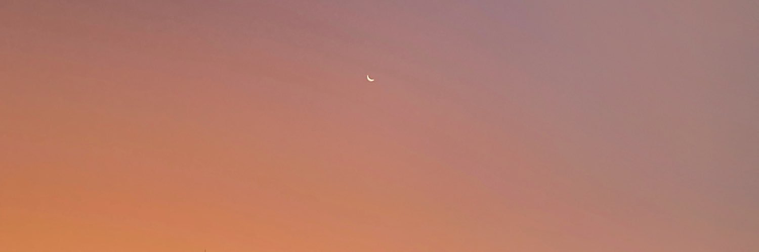 brruO_o's profile banner image