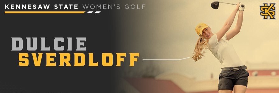 Dulciesverdloff's profile banner image