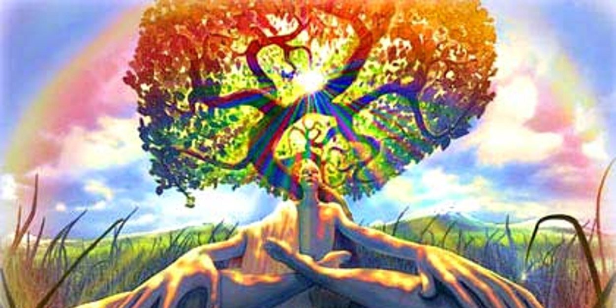 NapQueenCole's profile banner image