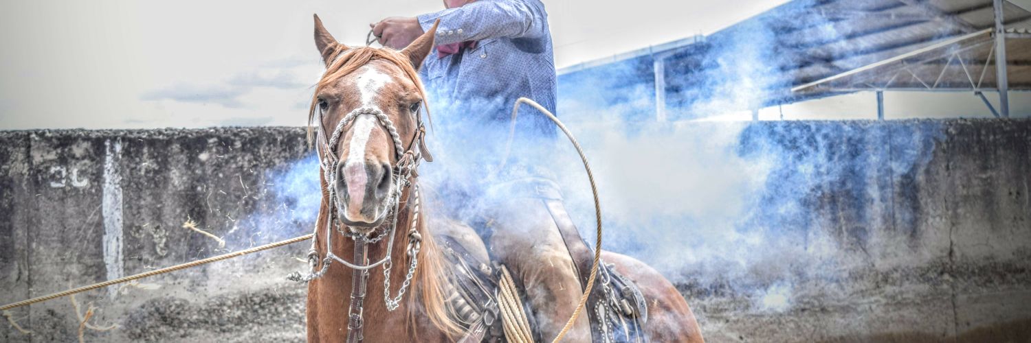 CopaCharraTLX's profile banner image