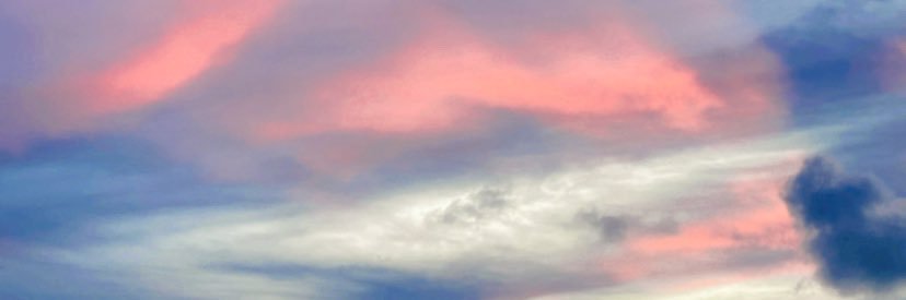 TARNTANODE's profile banner image