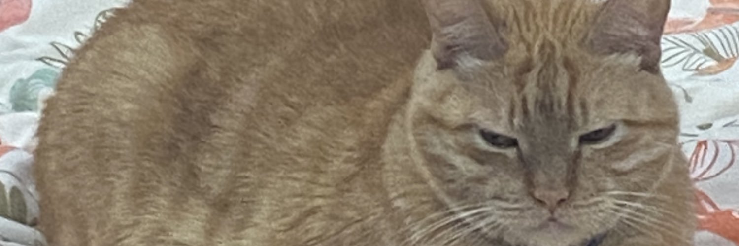 Phranque13's profile banner image