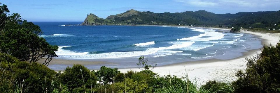 Kirsten McKenzie banner