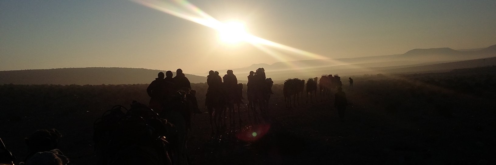 Luciana Liberman banner