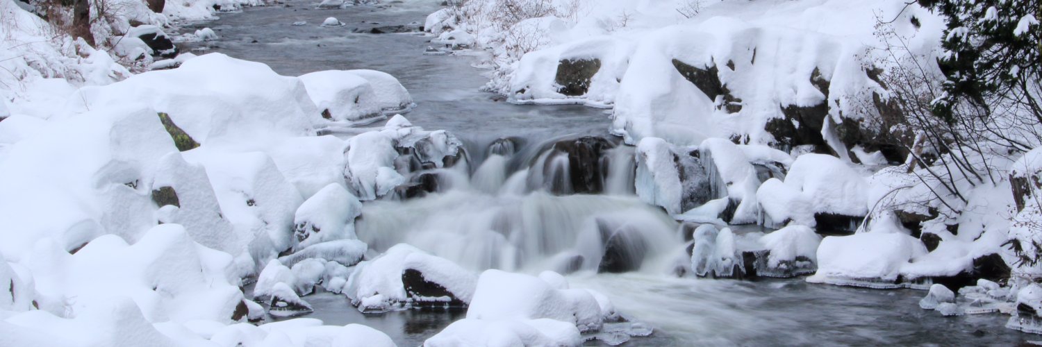 USFS-Tahoe National Forest banner