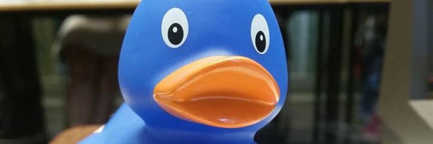 Dani Engel💙🛡 banner