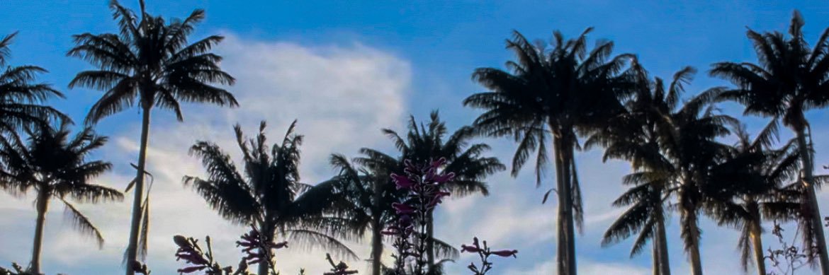 Paolarr97's profile banner image
