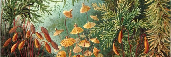 Stuart_Keppie's profile banner image