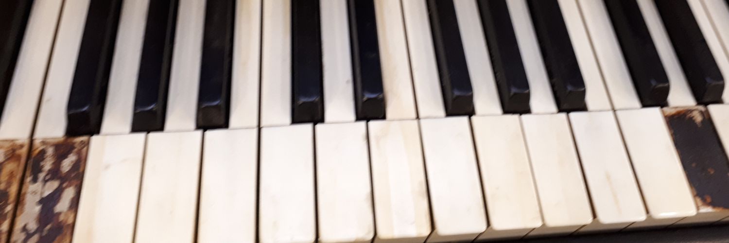 0Sofia00's profile banner image