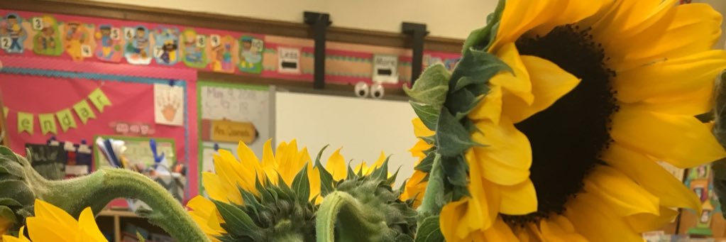 MrsQuaranta's profile banner image