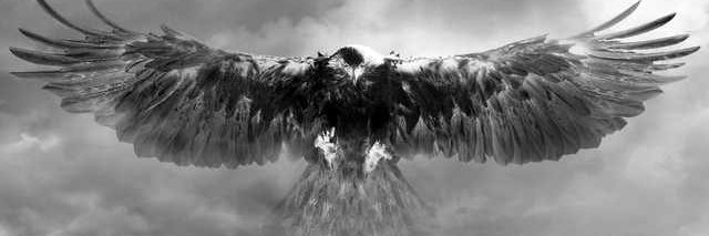 isa kartal banner