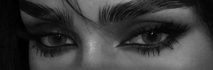 dareen3355's profile banner image