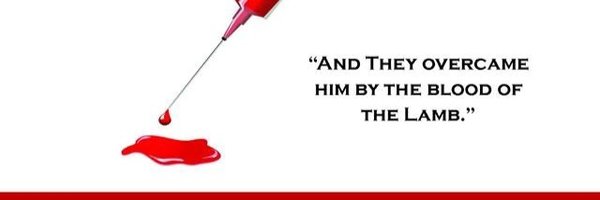 tipblazian Profile Banner