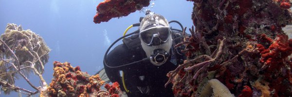 carlfugate Profile Banner