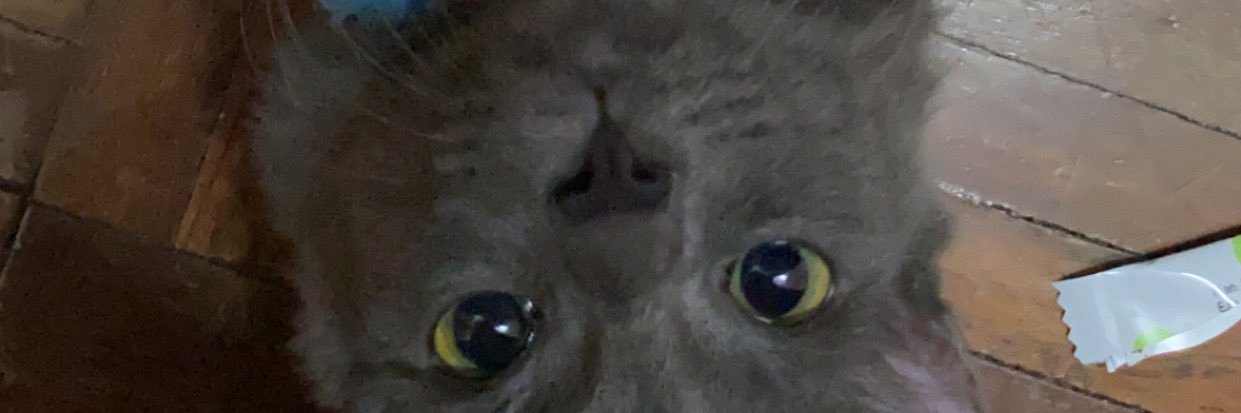 presentincc's profile banner image