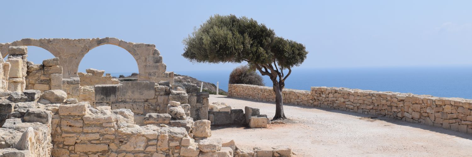 Babucic's profile banner image