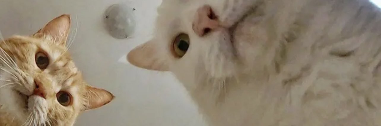 ManBalocco's profile banner image