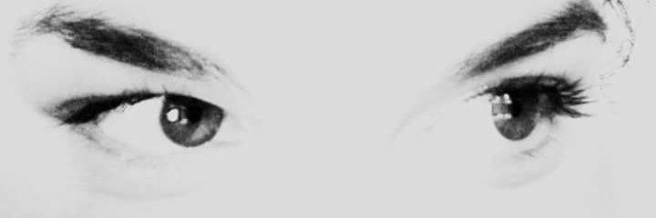 Bruno Bravo banner