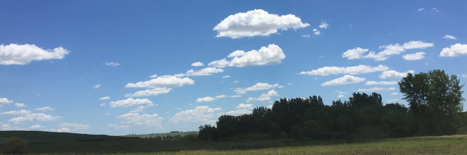 PftThomsen's profile banner image