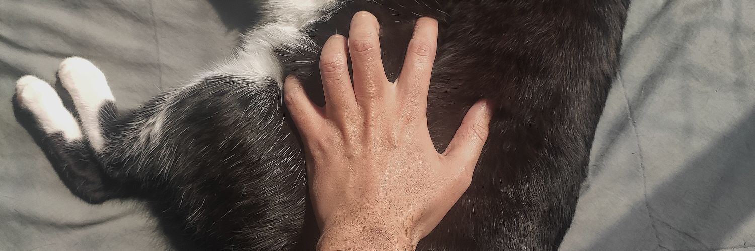 ffbian0's profile banner image