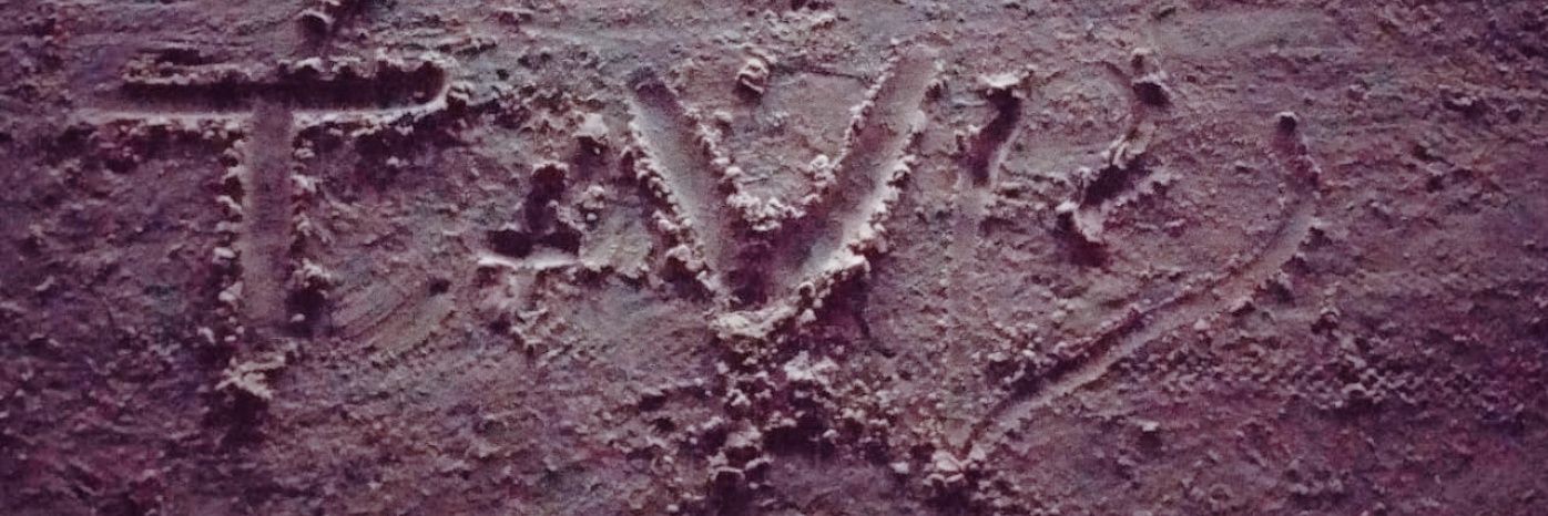 vfermino613's profile banner image