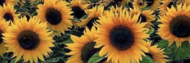 Jamiekohnx's profile banner image