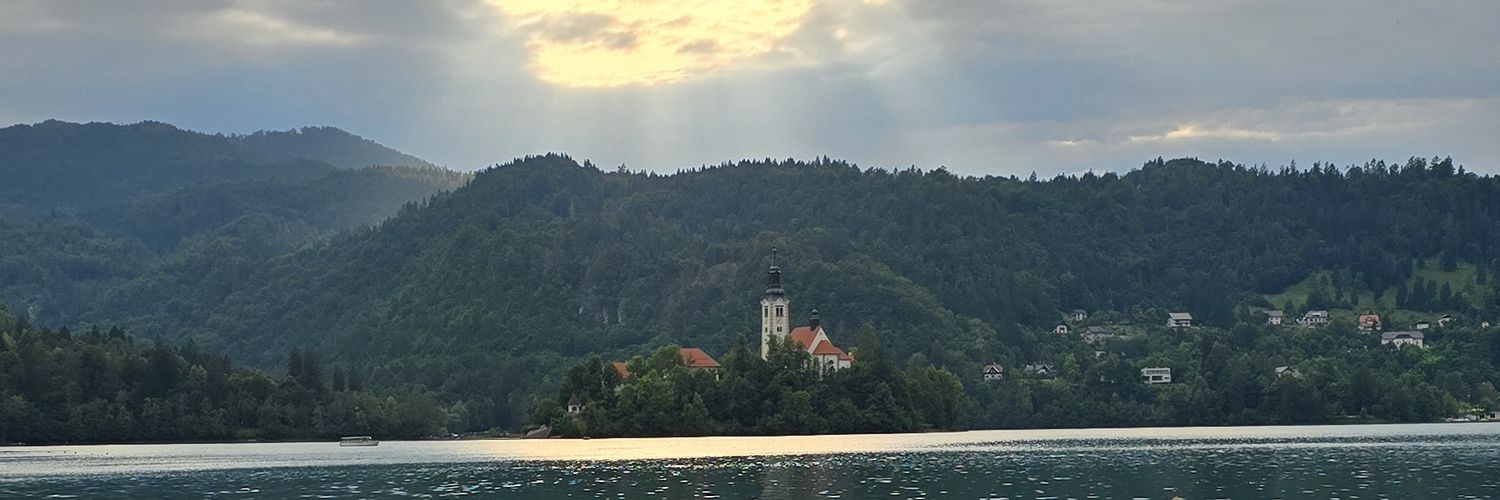 Steph Evander banner