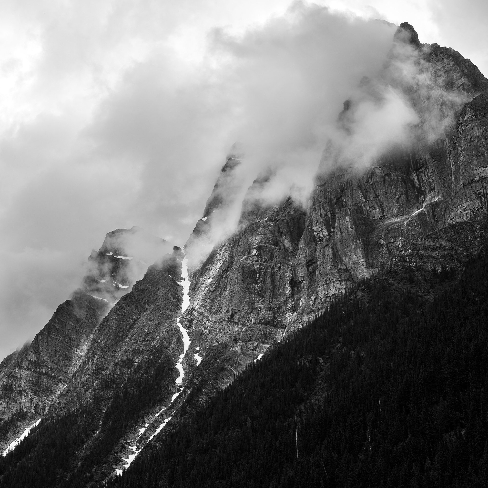 Robert Lowdon banner